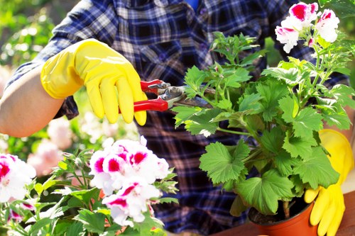 Close-up of a gardener explaining plant care with clear labels