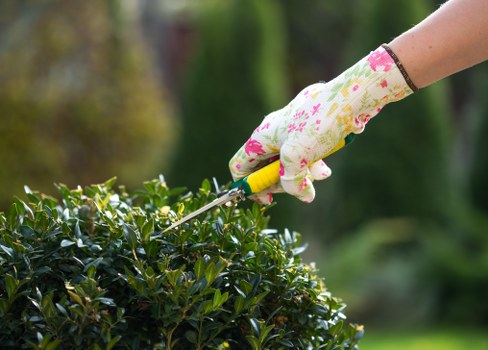 Gardener preparing tools for safe garden work