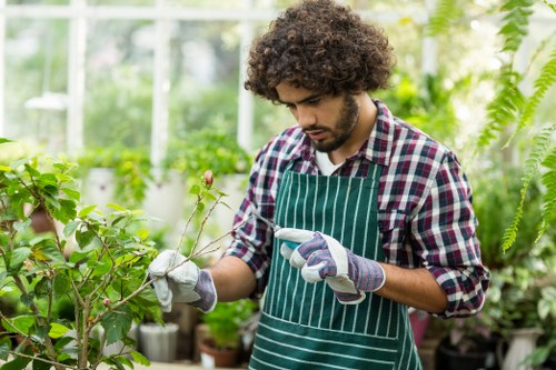 Efficient garden clearance services in Ealing