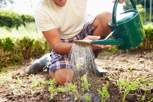Team of professional gardeners working in a suburban Ealing garden