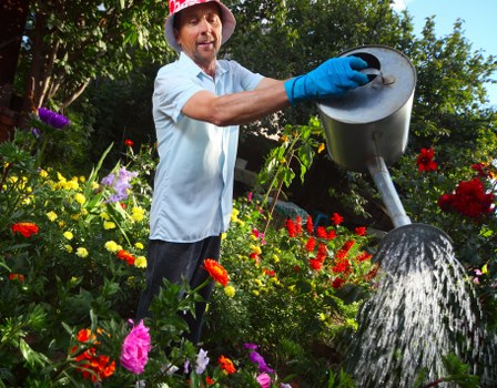 Professional landscaping team working in an Ealing garden