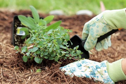 Custom garden design featuring vibrant flowers and shrubs
