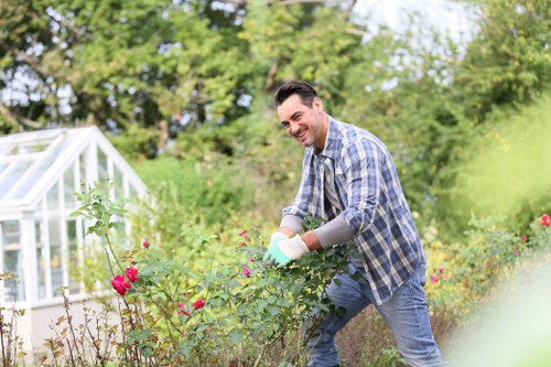 Gardeners Ealing professionals designing a garden layout