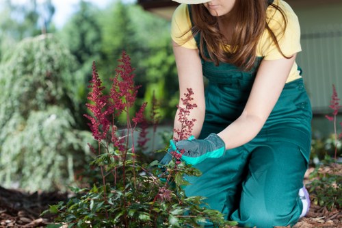 Garden maintenance crew trimming shrubs and collecting green waste