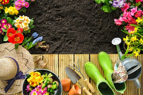 Wildlife-friendly garden in Ealing attracting birds and insects