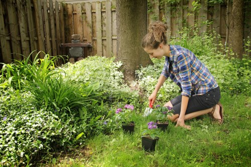 Professional lawn care services in Ealing