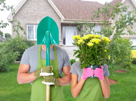 Choosing a certified tree removal service in Ealing