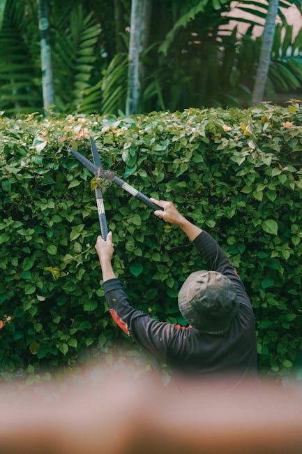 A gardener walking along a curved concrete pathway inside a greenhouse, seen from behind, wearing a grey long-sleeve shirt with reflective stripes on the sleeves, a dark hat, and black gloves. The gar